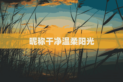 昵称干净温柔阳光(男生昵称干净温柔阳光)